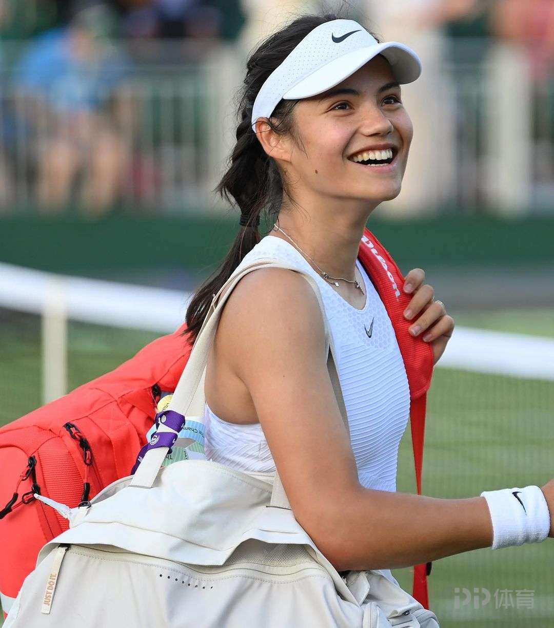 是人类对历 是人类对历