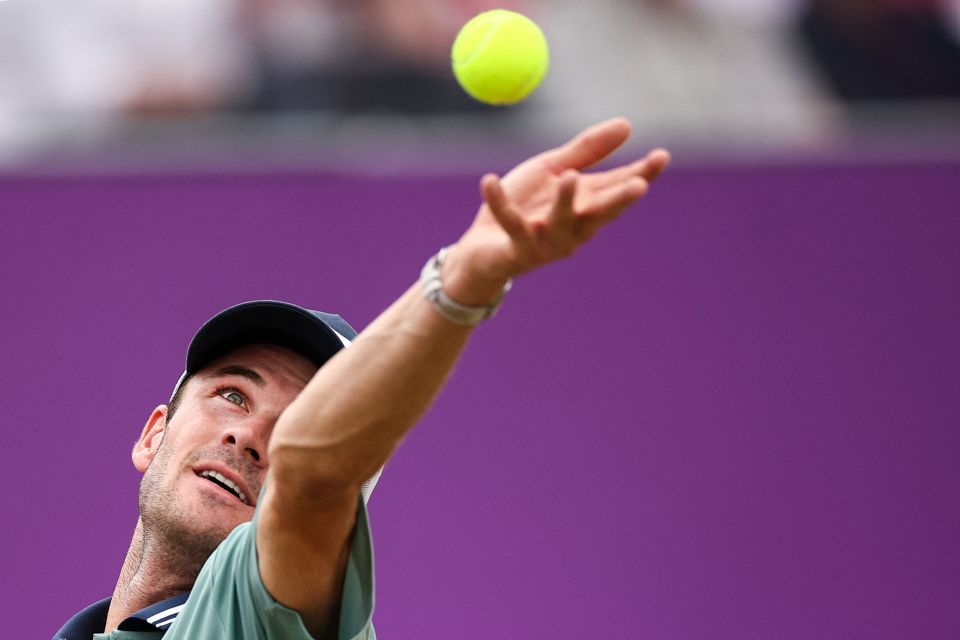 了我们启示 了我们启示